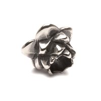 Charm Trollbeads Beads in Argento TAGBE-10057 - TAGBE-10057